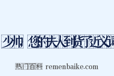 少帅，您的夫人到货了近义词是什么意思的图片
